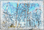 26th Mar 2023 - Frosty Blue Abstract