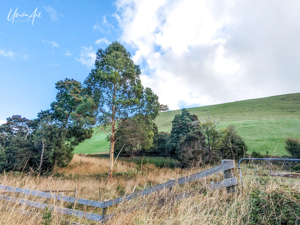 tasmanian countryside by ulla
