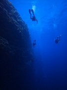 25th Mar 2023 - Deep diving