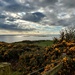 View from Knockbrex Hill  by samcat