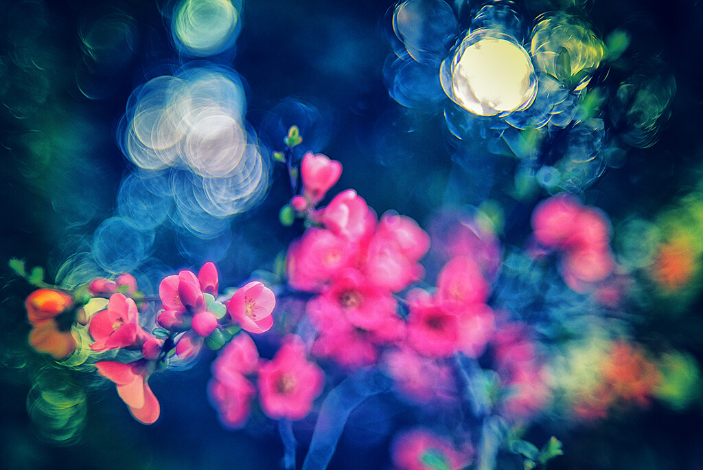 Spring V by pompadoorphotography