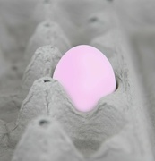 26th Mar 2023 - Pink Egg