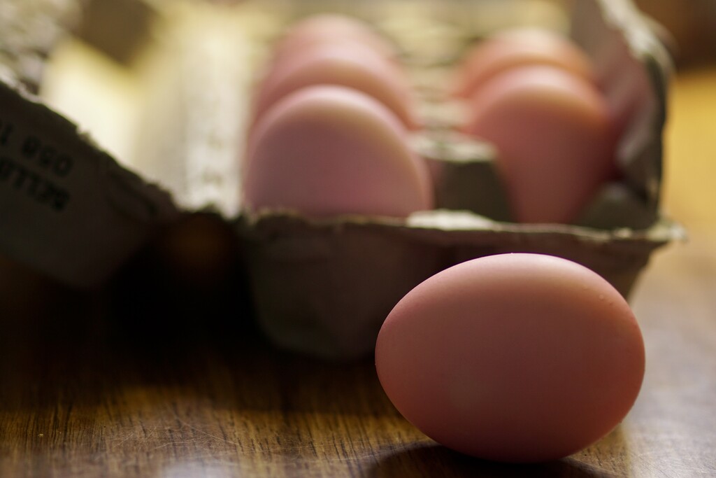 pink eggs by amyk