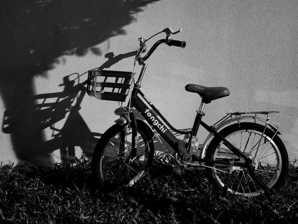 Bike by clearday
