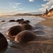 Moeraki Boulders Otago beach by Dawn