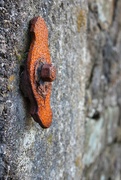 27th Mar 2023 - Rust