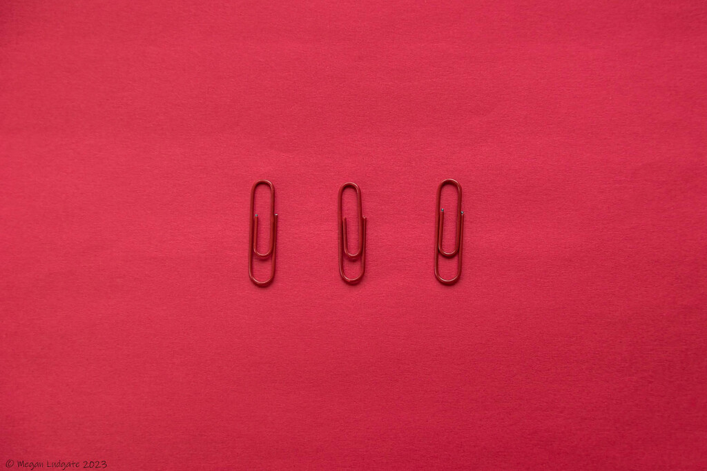 The Paperclips by kuva