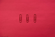 27th Mar 2023 - The Paperclips