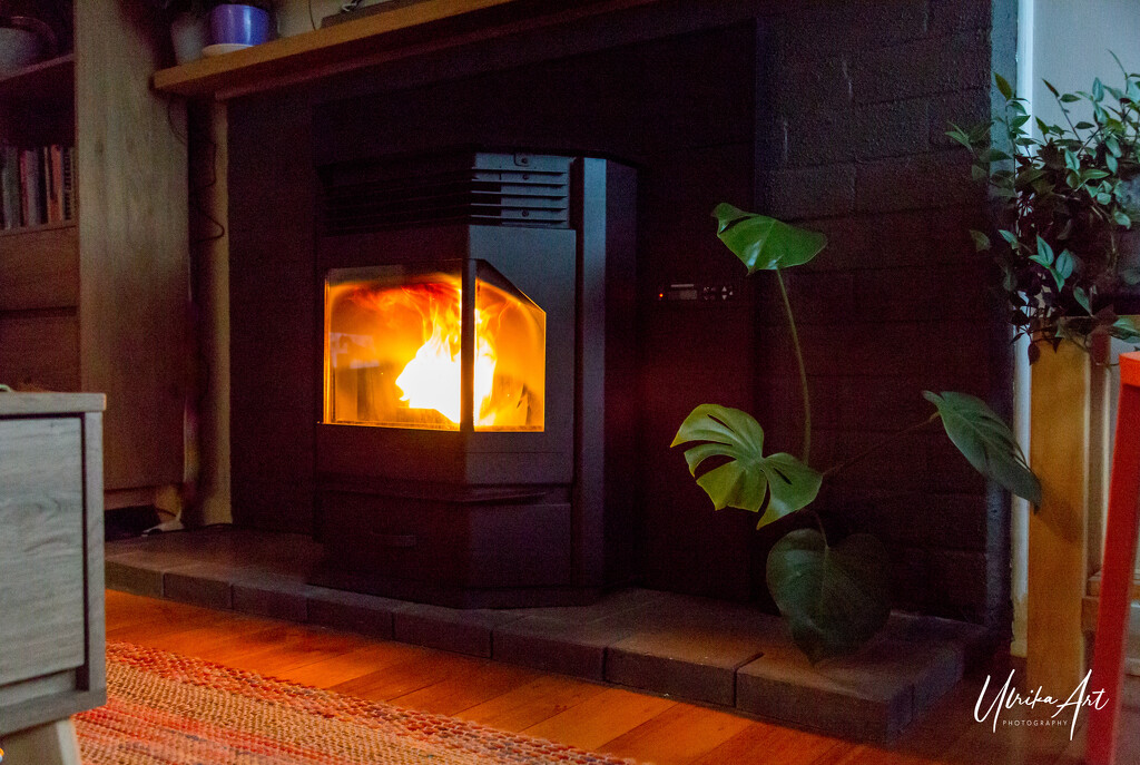 first fire for the year by ulla