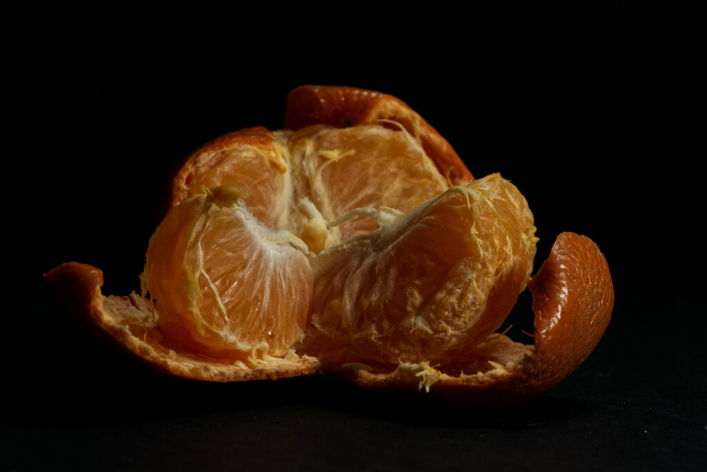 Pithy Orange by 30pics4jackiesdiamond