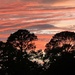 Sunset at the park last night by congaree