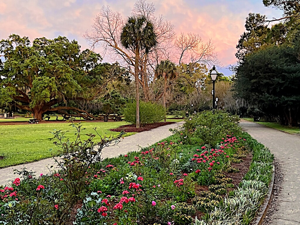 Hampton Park, Charleston by congaree