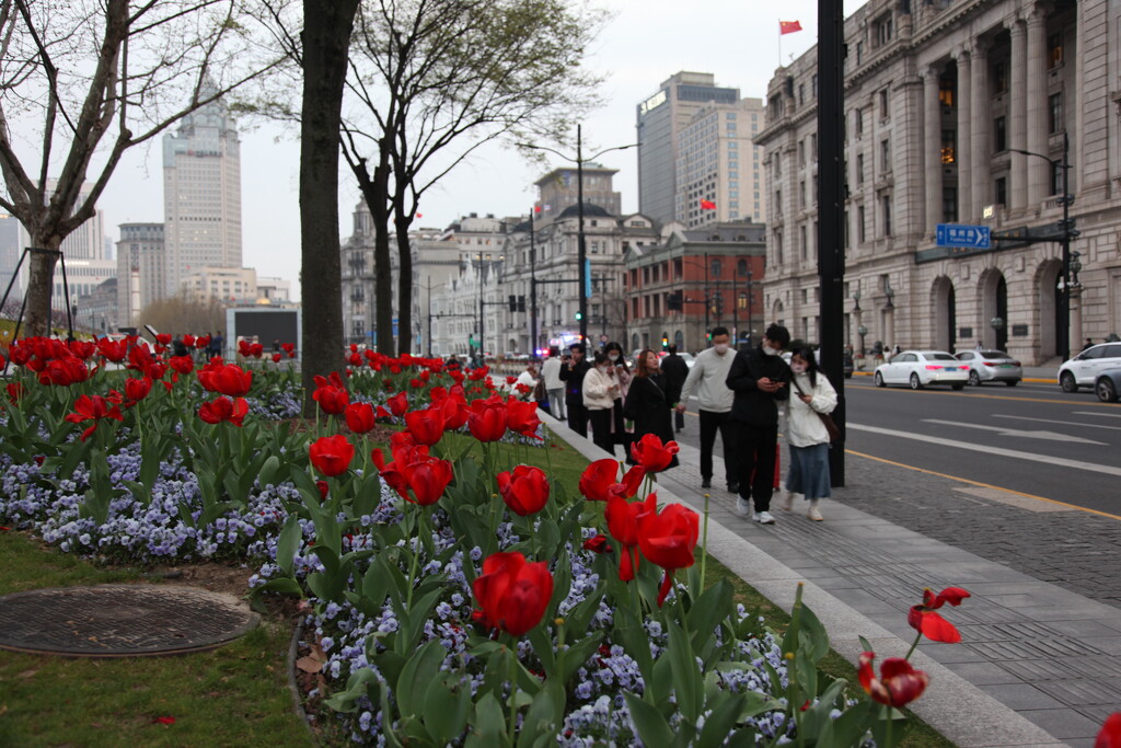 Flower and the Bund by 520