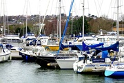28th Mar 2023 - Portishead Marina……..711