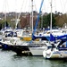 Portishead Marina……..711 by neil_ge