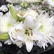 27th Mar 2023 - White Wedding Flowers 
