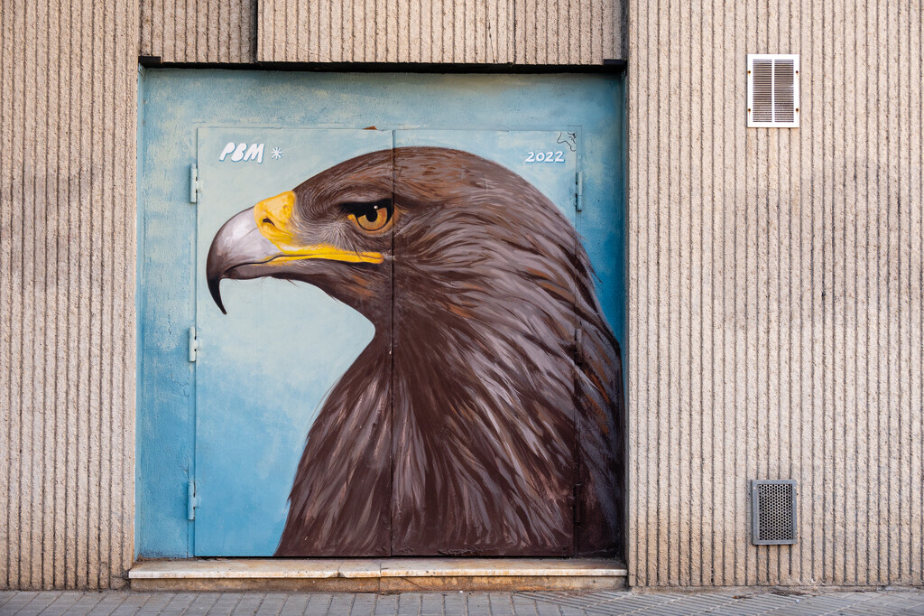 Eagle by jborrases