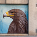Eagle by jborrases