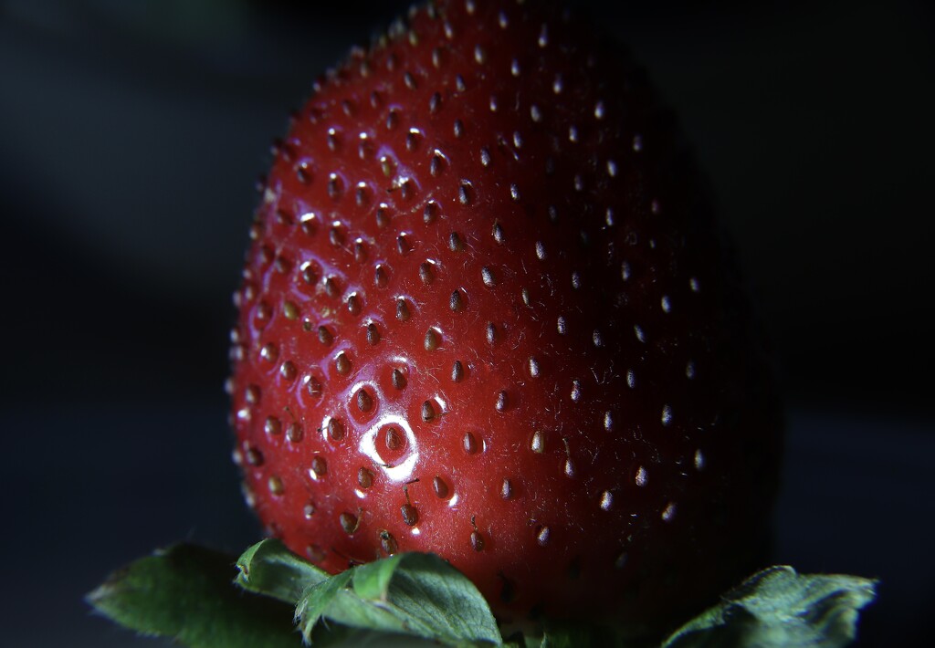 Day 80: Strawberry by sheilalorson
