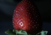 21st Mar 2023 - Day 80: Strawberry