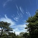 Wispy clouds! by deidre