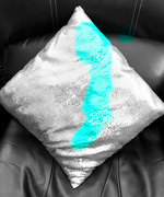 28th Mar 2023 - Day 87 - Pillow