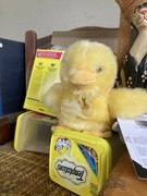 29th Mar 2023 - Yellow Chick on a Yellow Perch 