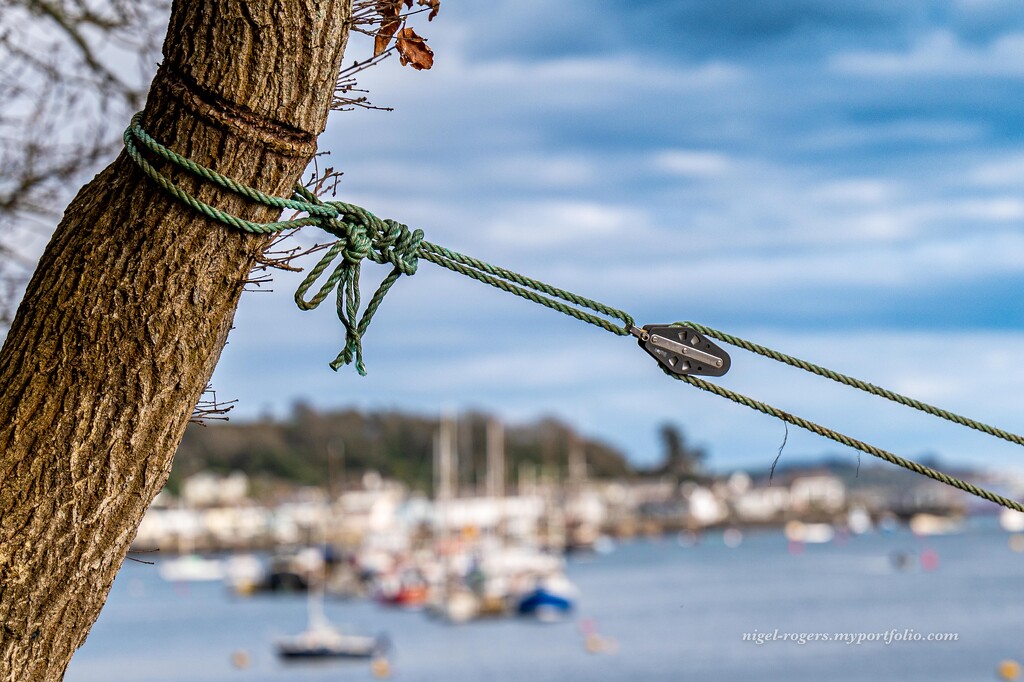 Rope and Pulley by nigelrogers