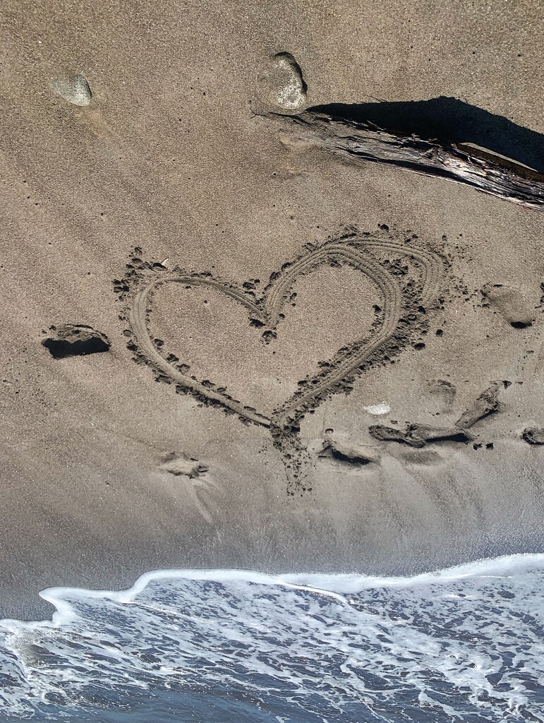 Heart on almond tree beach.  by cocobella