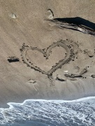 30th Mar 2023 - Heart on almond tree beach. 