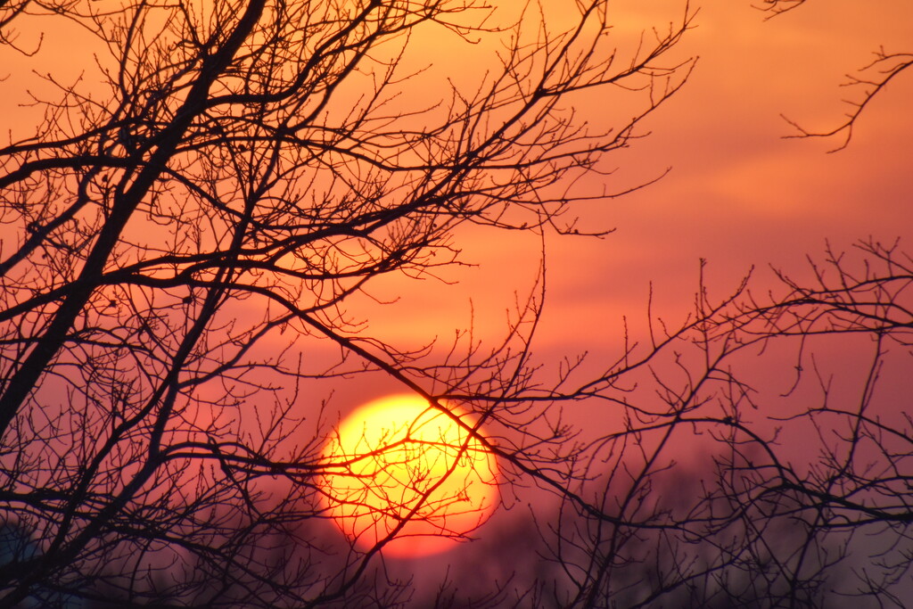 Orange Sunset by genealogygenie