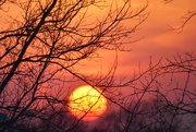 28th Mar 2023 - Orange Sunset