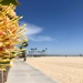 Newport Beach by loweygrace
