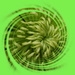 chrysanthemum green