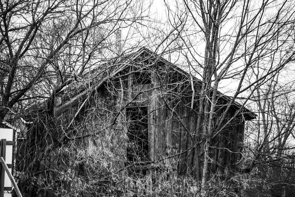 Shack by darchibald
