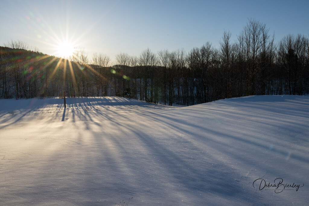 Day after snow storm… by dridsdale