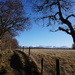 Feb 24th Invertromie Trail by valpetersen