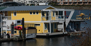 29th Mar 2023 - Yellow house boat and water taxi