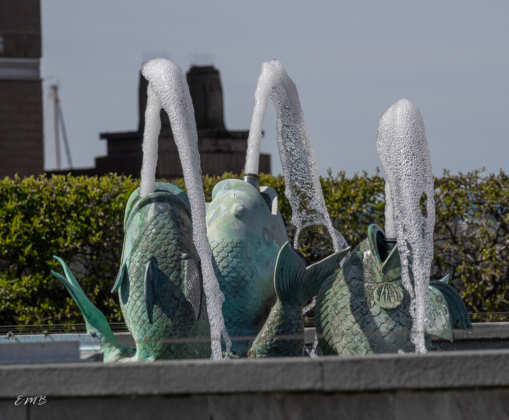 Green fish fountain by theredcamera
