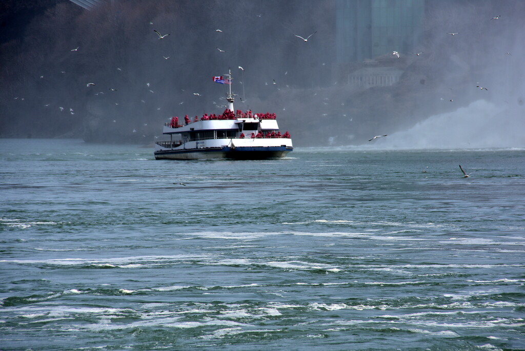 On the Niagara River by jayberg