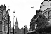 30th Mar 2023 - Trafalger Square to Big Ben