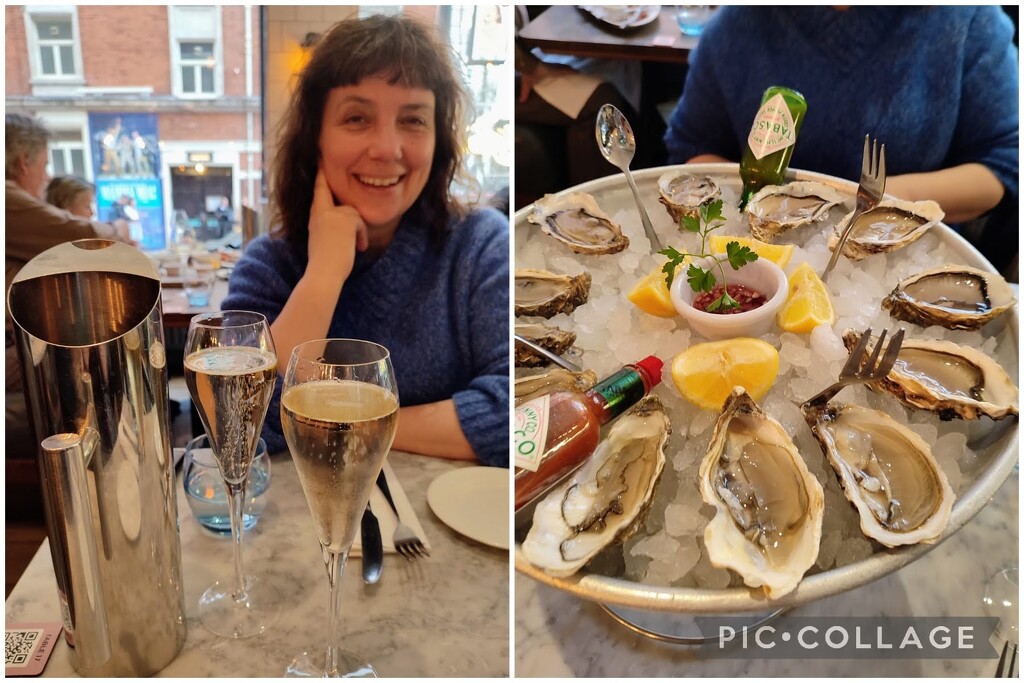 Unexpected champagne and oysters  by boxplayer