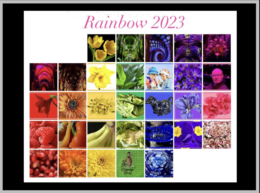 Rainbow Challenge 2023 by carole_sandford
