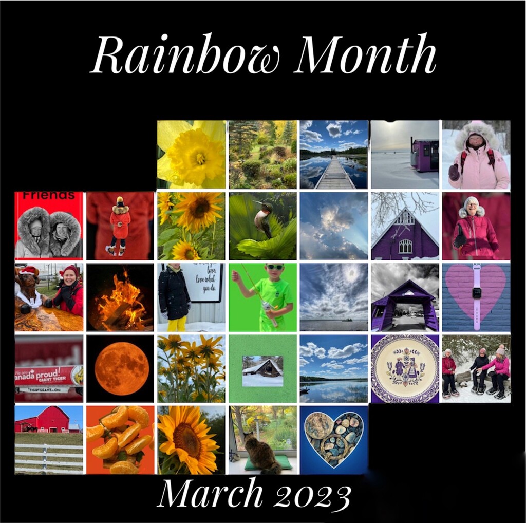 Rainbow Month by radiogirl