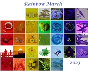 1st Apr 2023 - Rainbow 2023