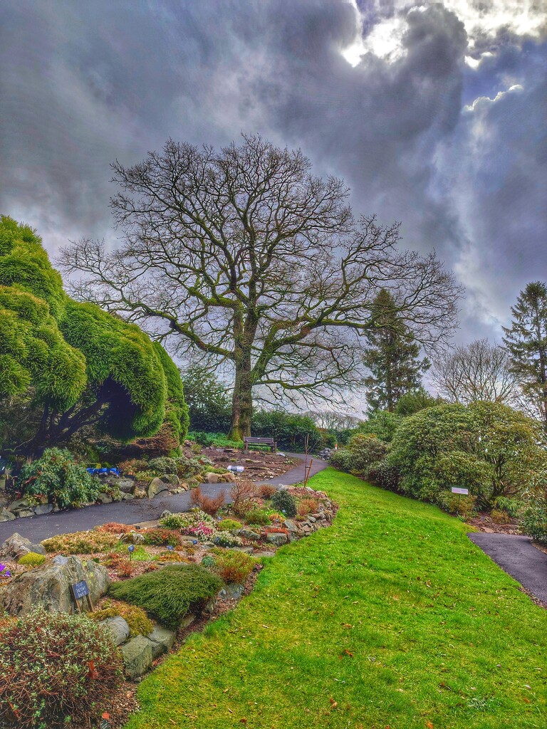 Holehird Gardens  by countrylassie