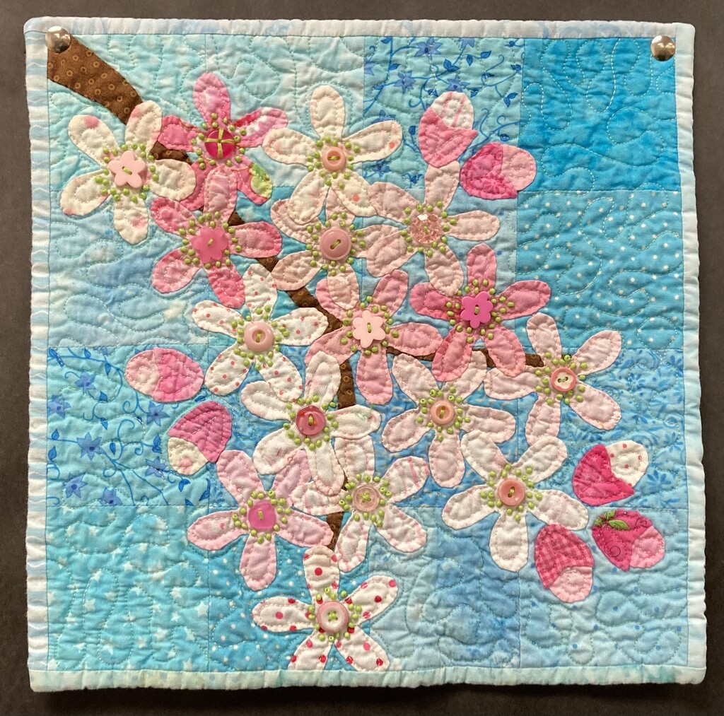 cherry blossoms by wiesnerbeth