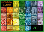 30th Mar 2023 - Rainbow Month 2023