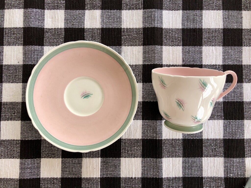 Pink Cup and saucer on gingham  by brigette