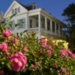 French roses and moody shot of an old Charleston house by congaree